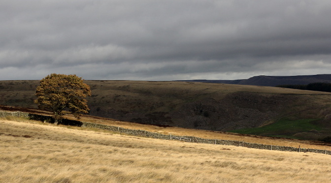 Photograph of Peak District by Steve Withington